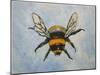 Bumble bee-Sarah Thompson-Engels-Mounted Giclee Print