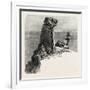 Bumble Rock, the South Coast, UK, 19th Century-null-Framed Giclee Print