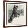 Bumble Rock, the South Coast, UK, 19th Century-null-Framed Giclee Print