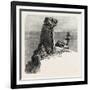 Bumble Rock, the South Coast, UK, 19th Century-null-Framed Giclee Print