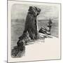 Bumble Rock, the South Coast, UK, 19th Century-null-Mounted Giclee Print