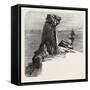 Bumble Rock, the South Coast, UK, 19th Century-null-Framed Stretched Canvas