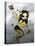 Bumblebee Fairy-Jasmine Becket-Griffith-Stretched Canvas