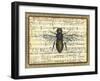 Bumblebee Harmony II-Vision Studio-Framed Art Print