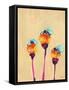 Bumblebee Life III-Ania Zwara-Framed Stretched Canvas