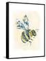 Bumblebee-null-Framed Stretched Canvas