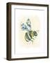 Bumblebee-null-Framed Giclee Print