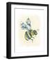 Bumblebee-null-Framed Giclee Print