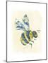 Bumblebee-null-Mounted Giclee Print