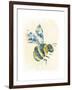 Bumblebee-null-Framed Giclee Print