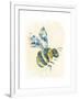 Bumblebee-null-Framed Giclee Print