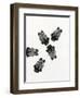 Bumblebees' Meeting, 2013-Bella Larsson-Framed Giclee Print