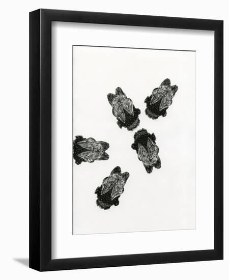 Bumblebees' Meeting, 2013-Bella Larsson-Framed Giclee Print