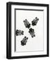 Bumblebees' Meeting, 2013-Bella Larsson-Framed Giclee Print