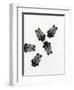 Bumblebees' Meeting, 2013-Bella Larsson-Framed Giclee Print