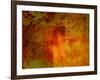 Bump in the Night-Katherine Sanderson-Framed Photographic Print