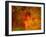 Bump in the Night-Katherine Sanderson-Framed Photographic Print