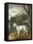 "Bumper", a Bull Terrier, 1745-Thomas Gainsborough-Framed Stretched Canvas