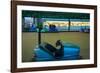 Bumper car at Monte Igueldo amusement park at dusk, San Sebastian, Guipuzcoa Province, Basque Co...-null-Framed Photographic Print