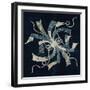 Bunch of Abalone Strips-null-Framed Giclee Print
