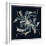 Bunch of Abalone Strips-null-Framed Giclee Print