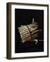 Bunch of Asparagus, 1703-Adrian Coorte-Framed Giclee Print