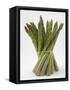 Bunch of Asparagus-null-Framed Stretched Canvas