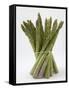 Bunch of Asparagus-null-Framed Stretched Canvas