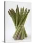 Bunch of Asparagus-null-Stretched Canvas