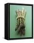 Bunch of Asparagus-null-Framed Stretched Canvas