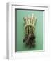 Bunch of Asparagus-null-Framed Photographic Print