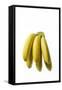 Bunch of Bananas-null-Framed Stretched Canvas