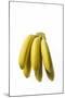 Bunch of Bananas-null-Mounted Photographic Print