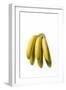 Bunch of Bananas-null-Framed Photographic Print