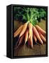 Bunch of Carrots-Peter Howard Smith-Framed Stretched Canvas