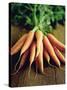 Bunch of Carrots-Peter Howard Smith-Stretched Canvas