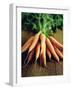 Bunch of Carrots-Peter Howard Smith-Framed Photographic Print