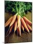 Bunch of Carrots-Peter Howard Smith-Mounted Photographic Print