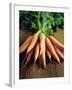 Bunch of Carrots-Peter Howard Smith-Framed Photographic Print