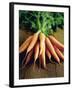 Bunch of Carrots-Peter Howard Smith-Framed Photographic Print