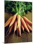 Bunch of Carrots-Peter Howard Smith-Mounted Photographic Print