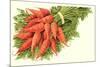 Bunch of Carrots-null-Mounted Art Print