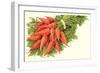 Bunch of Carrots-null-Framed Premium Giclee Print