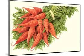 Bunch of Carrots-null-Mounted Premium Giclee Print