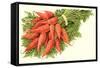 Bunch of Carrots-null-Framed Stretched Canvas