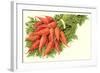 Bunch of Carrots-null-Framed Art Print