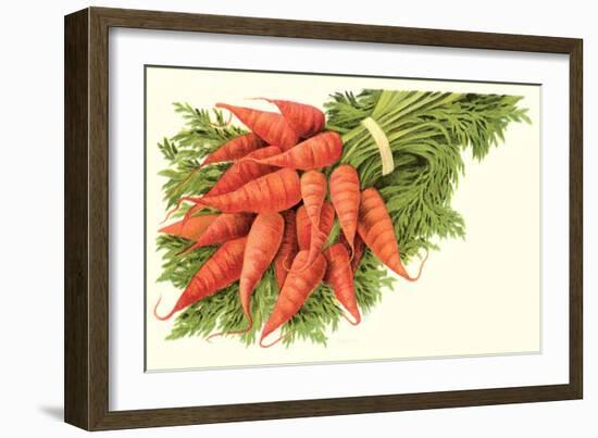 Bunch of Carrots-null-Framed Art Print