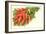 Bunch of Carrots-null-Framed Art Print