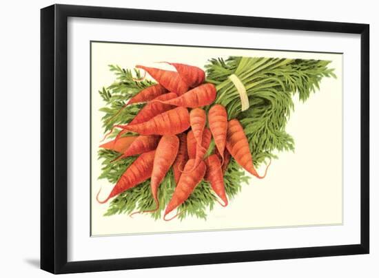 Bunch of Carrots-null-Framed Art Print