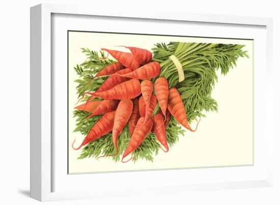 Bunch of Carrots-null-Framed Art Print